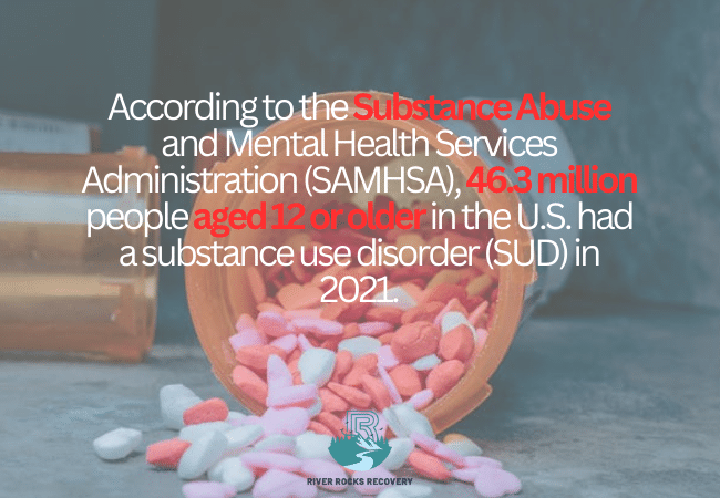 General Drug Abuse Statistics