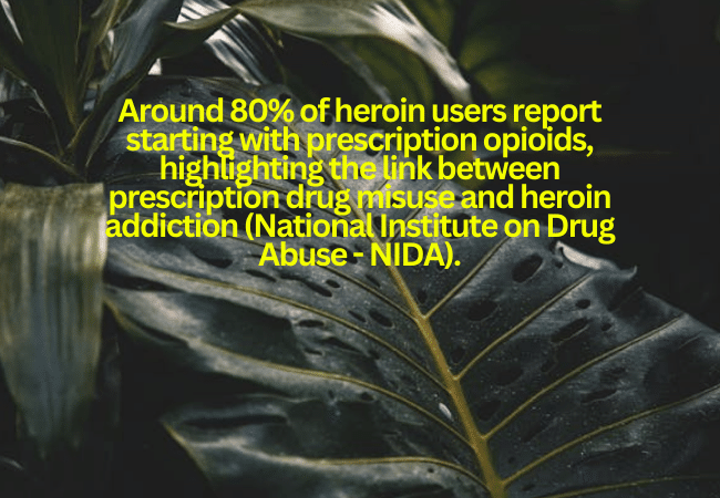 Transition to Heroin from Prescription Opioids